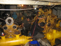 Working Technician