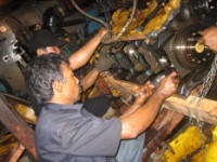 Working Technician